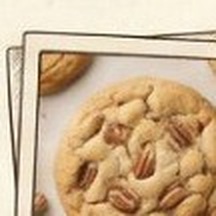 Pterodáctilo Pecana